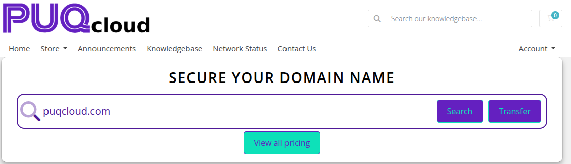 Domain Search widget frontend render