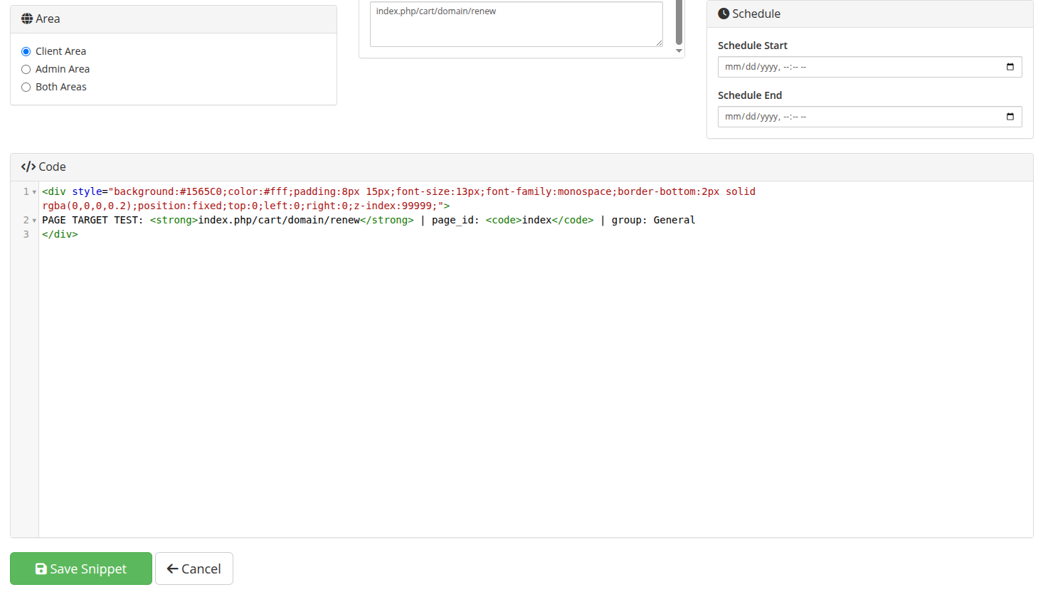 Snippet Editor — area, custom URL patterns, schedule, and code editor (bottom)