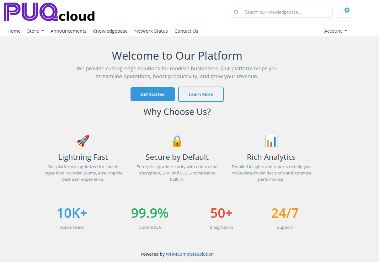 Text Editor TinyMCE widget frontend render