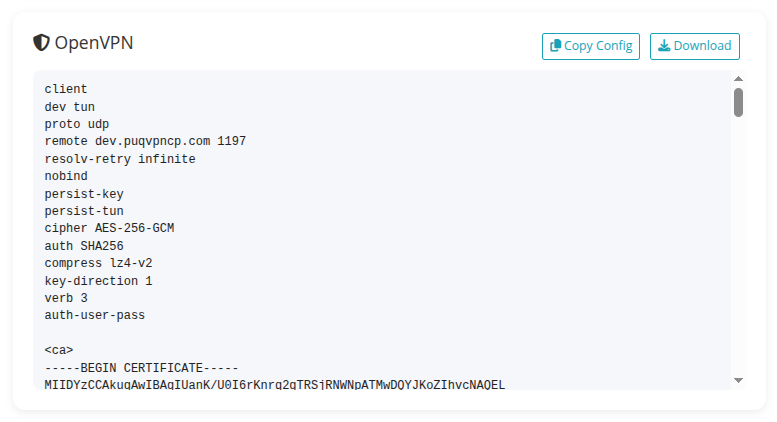 OpenVPN profile