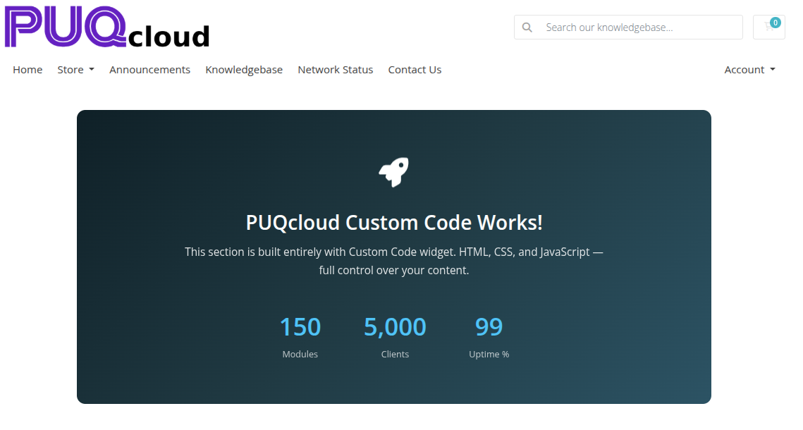 Custom Code widget frontend render