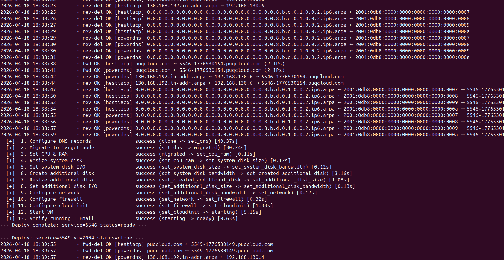 Cron live output showing DNS operations during deploy